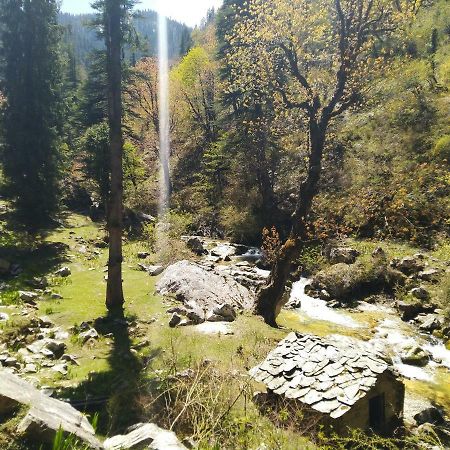 Jibhi Latoda Eco Lodge المظهر الخارجي الصورة